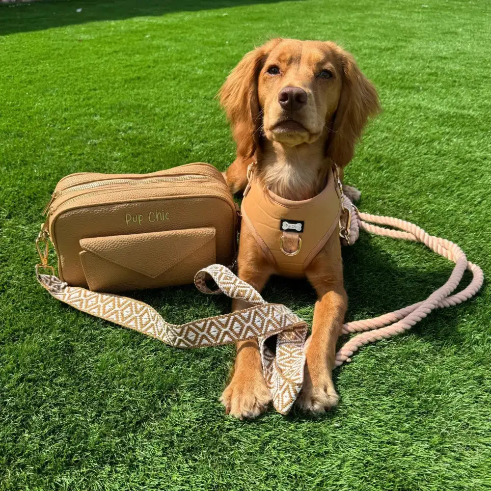 Tan leather dog harness with bone shaped metal buckle and matching leash alfresco pup faux from pup chic boutique