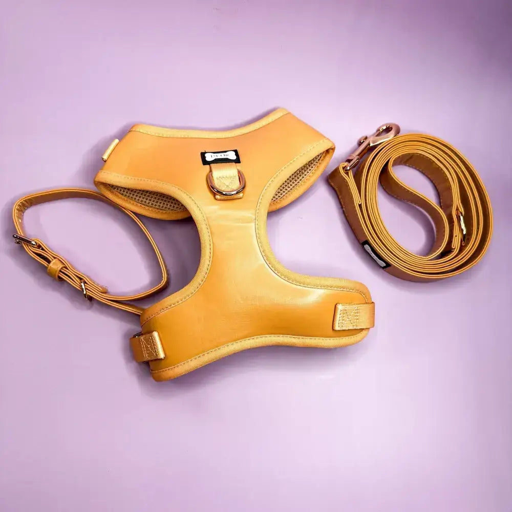 Alfresco Pup vegan leather 5ft dog lead Pet Products