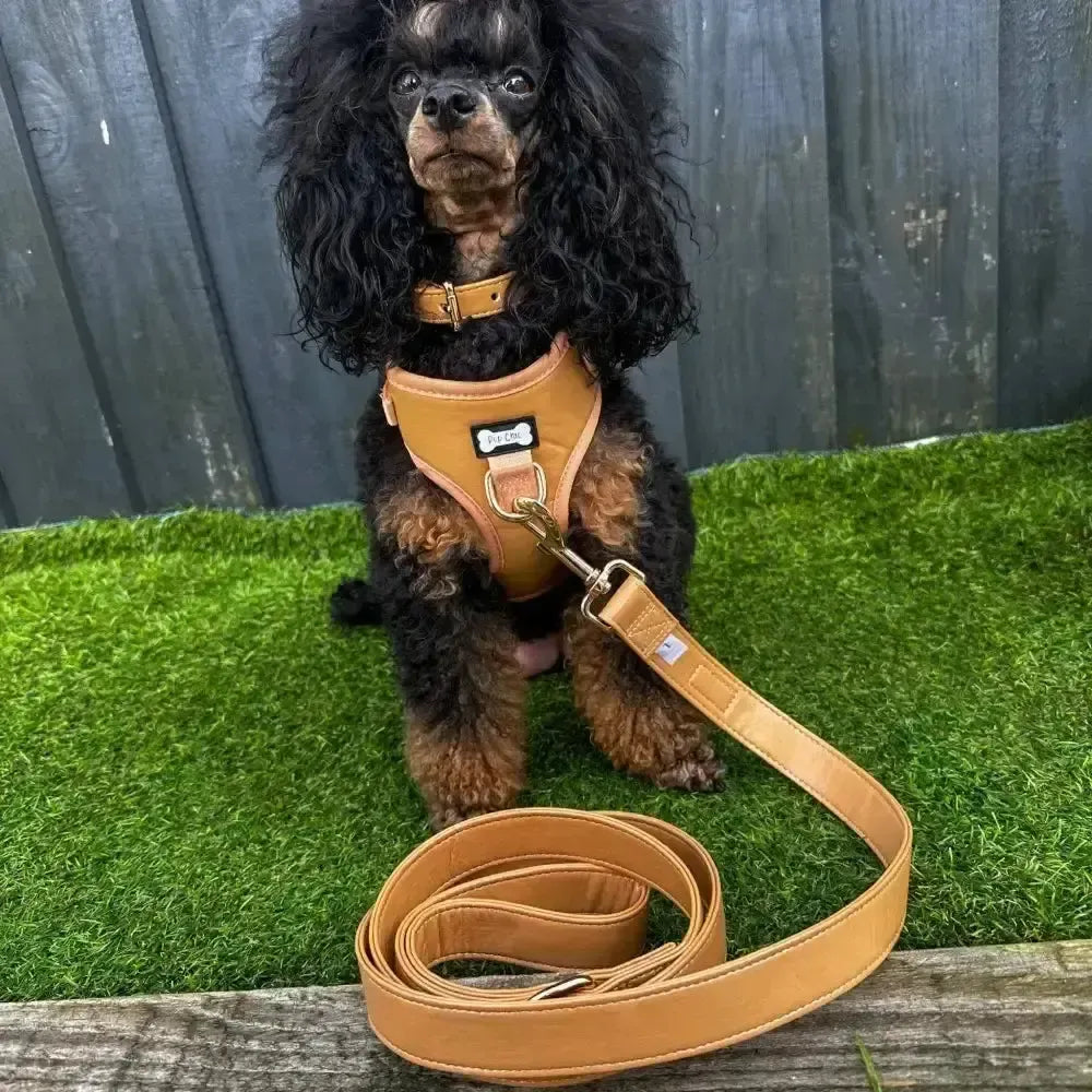 Alfresco Pup vegan leather 5ft dog lead Pet Products