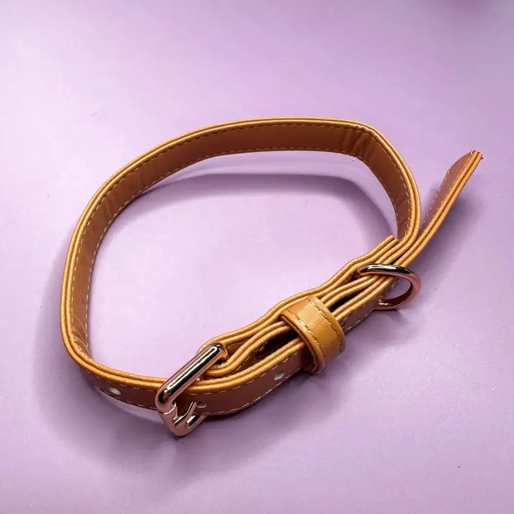 Tan alfresco pup vegan leather dog collar with silver-toned camel colour buckle and metal ring for dogs