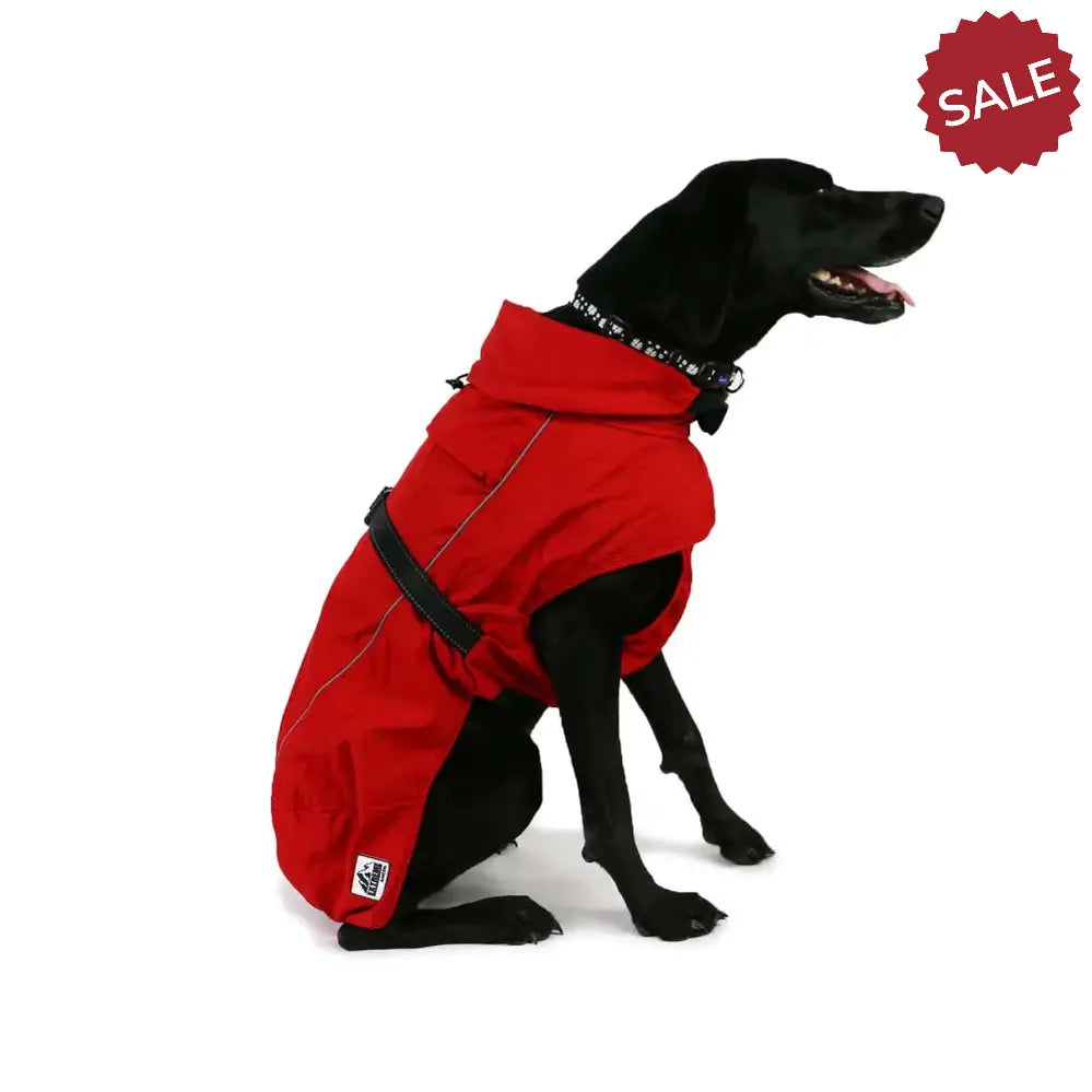 Ancol Extreme Blizzard Dog Coat Red Small / Medium (35cm) Red Dog Coat