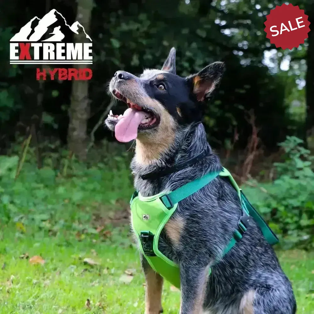 Ancol Extreme Hybrid Harness Field Green Medium Green Dog Harness