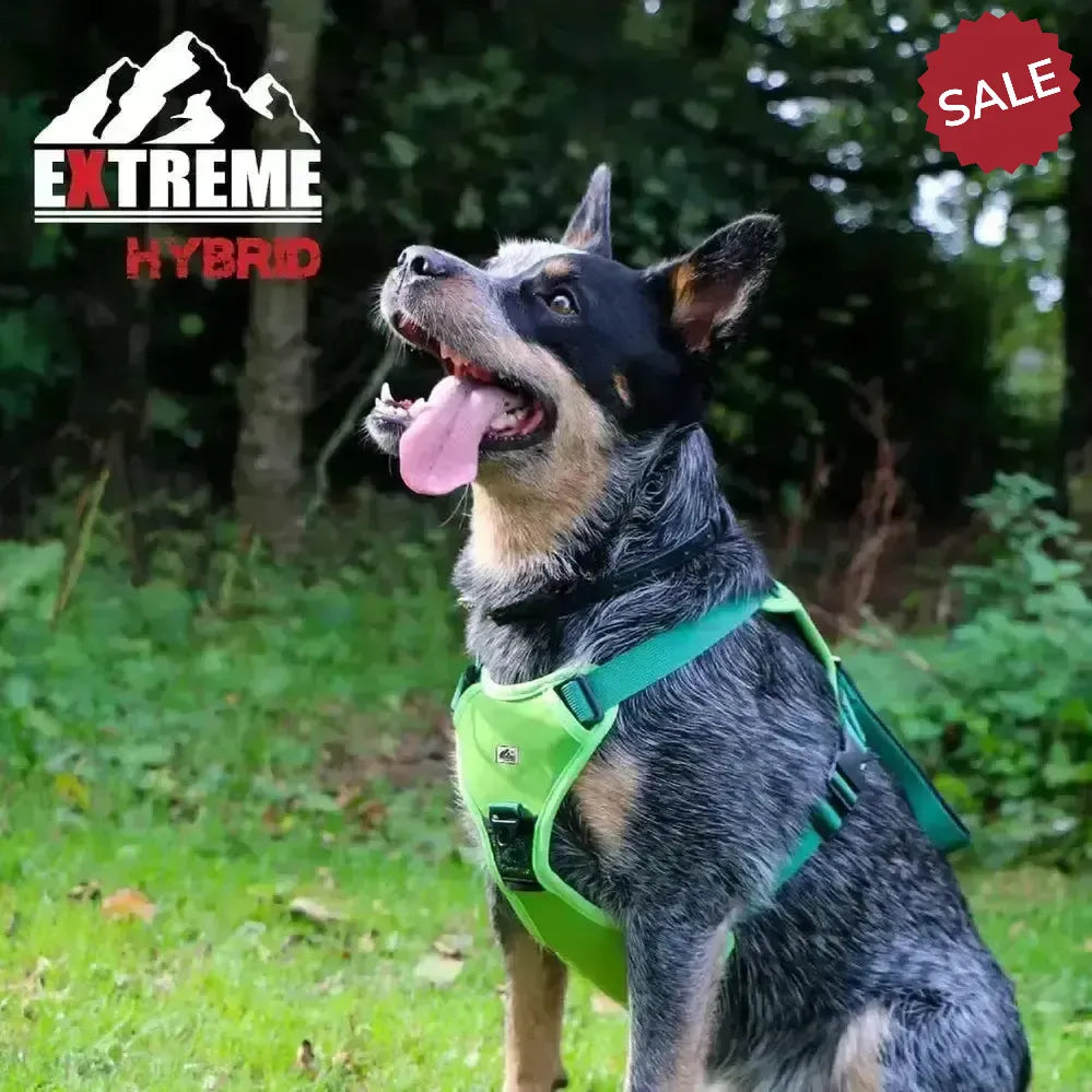 Ancol Extreme Hybrid Harness Field Green Medium Green Dog Harness
