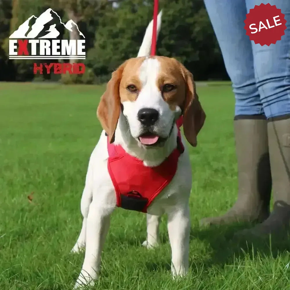 Ancol Extreme Hybrid Harness Poppy Red Medium Red Dog Harness