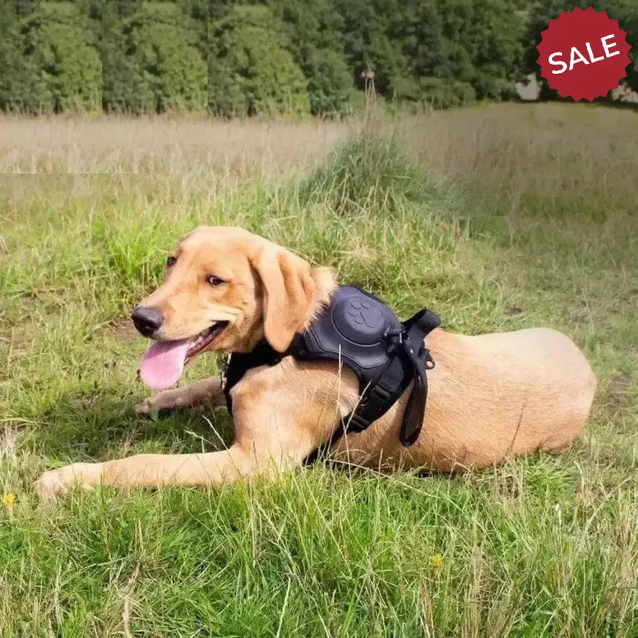 Ancol Extreme Hybrid Harness Tactical Black Medium Black Dog Harness