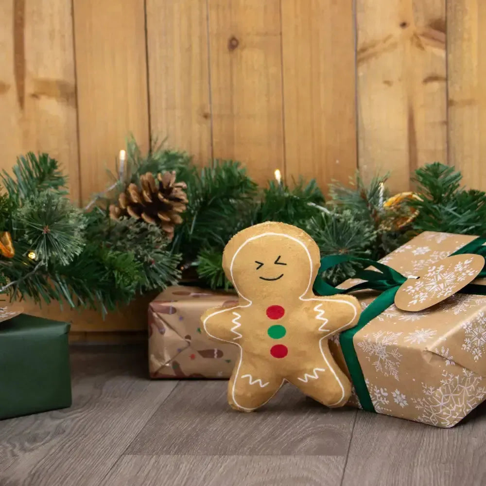 Ancol Georgia Gingerbread 15 cm Dog Toys