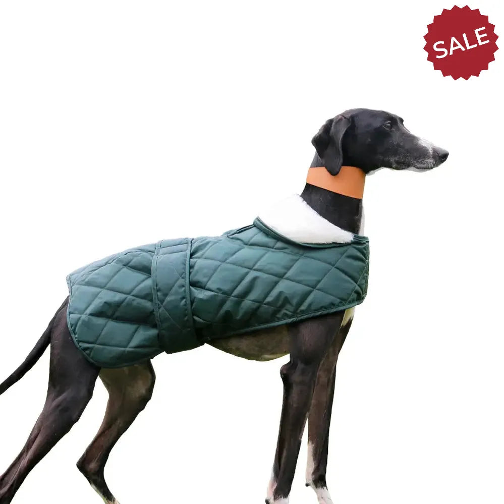 Ancol MuDanish Designy P Quilt Hound Coat XXL Dog Coat