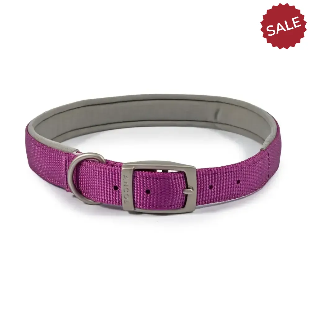 Ancol Padded Viva Collar Purple 39-48cm-size-5 Dog Collars