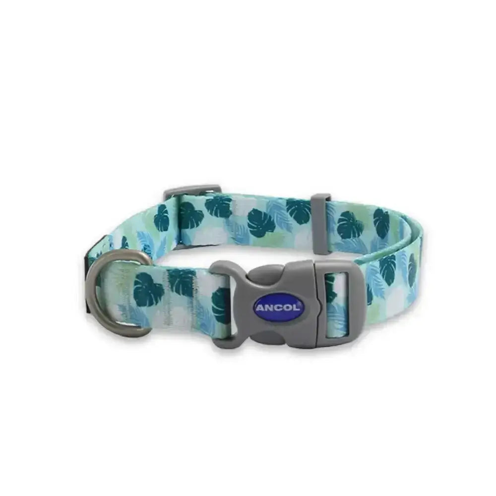 A teal and white tropical leaf-patterned ancol soho pet collar with gray buckle and ancol logo in modern leaf pattern