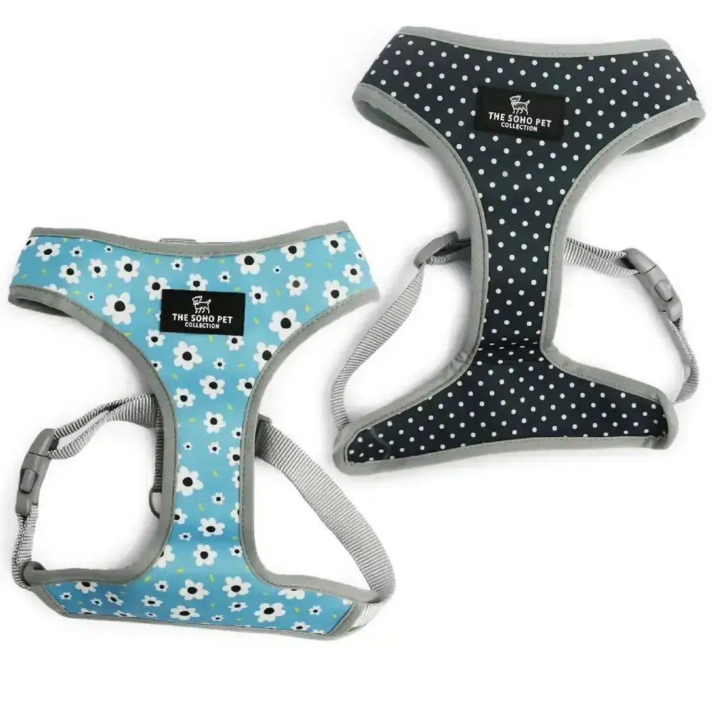Light blue and black polka dot ancol soho pet reversible daisy harness with gray trim from soho pet harness collection