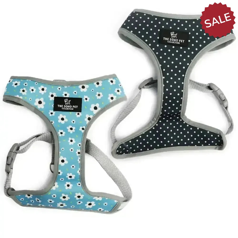 Ancol Soho Pet Harness Reversible Daisy/Polka Dot X Smallmall (23-38cm) Daisy/Polka Dot Dog Harness