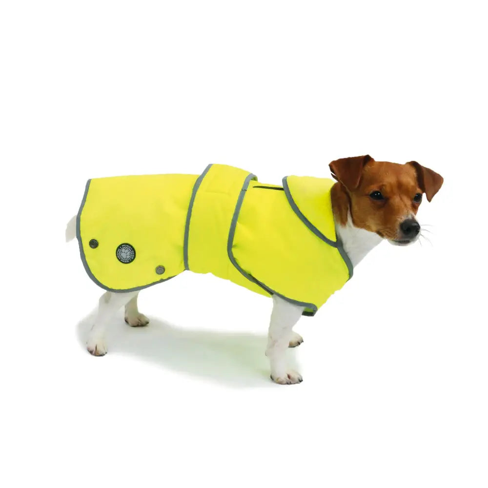 Bright yellow ancol stormguard hi-vis dog coat with waterproof material splashguard chest and reflective trim