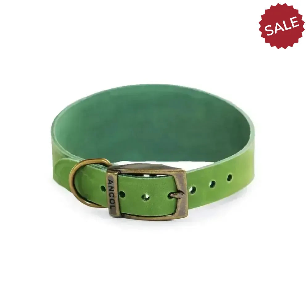 Ancol Timberwolf Hound Collar Green Size 4 - 5 (34-43cm) Green Dog Collars