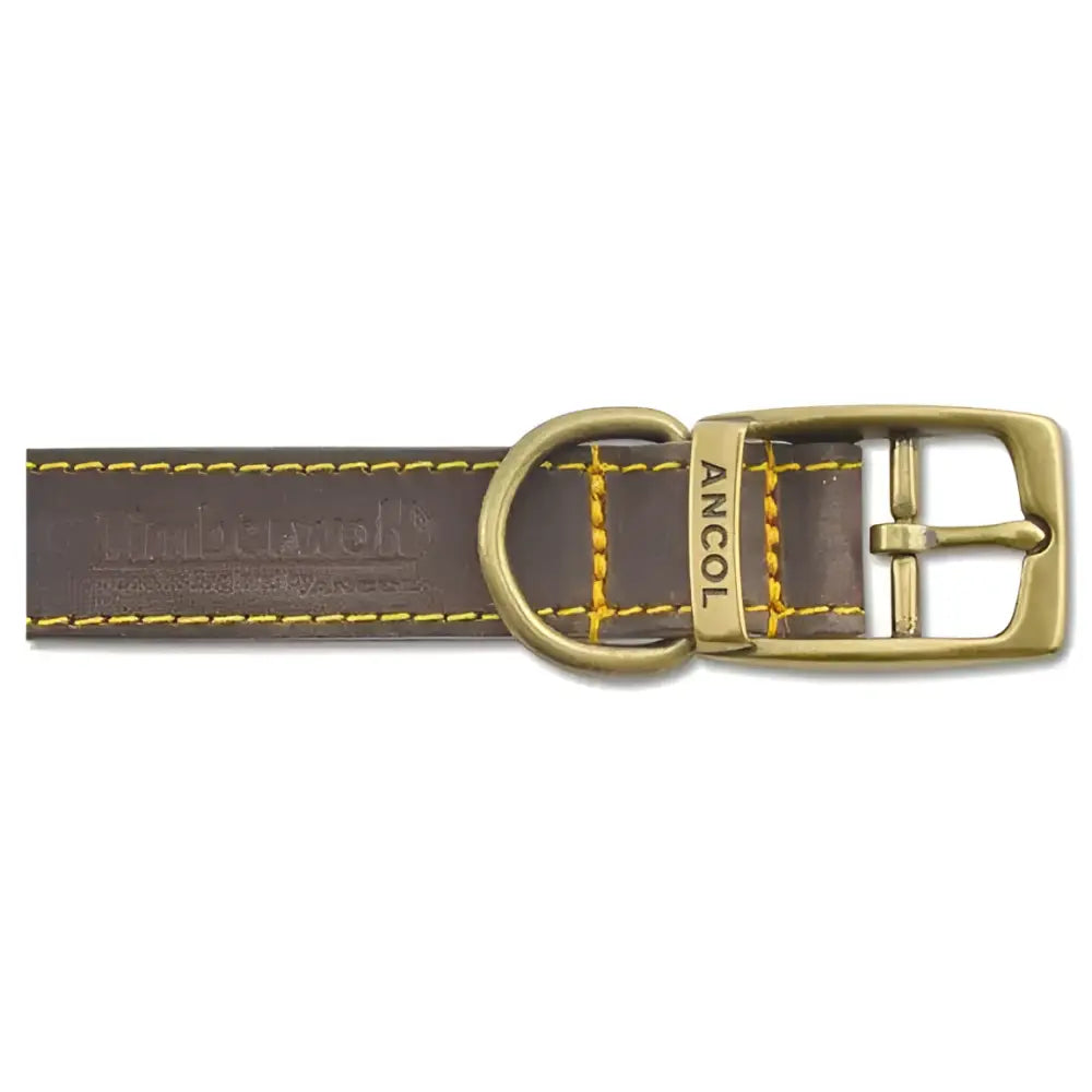 Brown leather ancol timberwolf leather collar sable with brass buckle yellow stitching and marborough embossed label