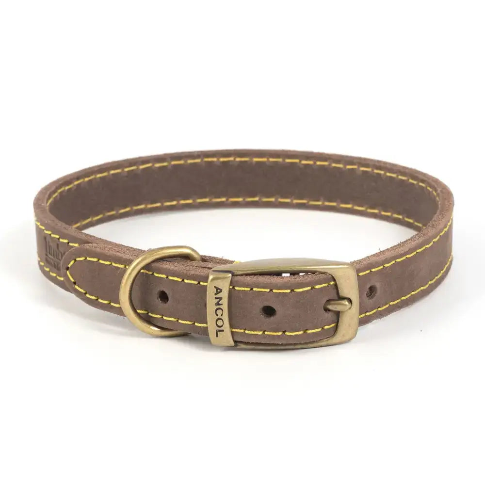 Brown leather ancol timberwolf leather collar sable top-grain with yellow stitching and brass hardware buckle