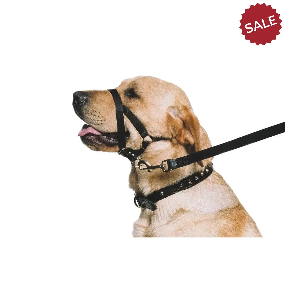 Ancol Training & Safety Nylon Training Halter X Largearge (Size 7-9) Black Pet Training