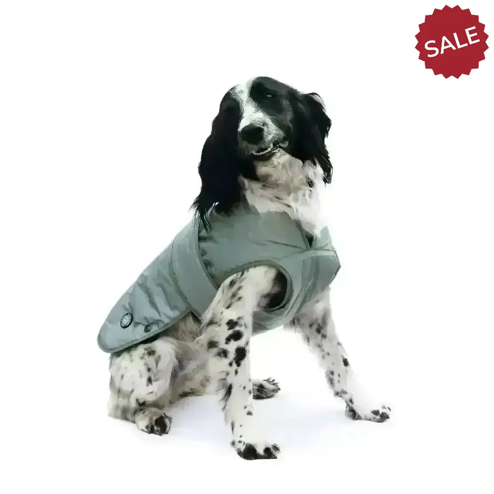 Ancol Ultimate Reflective Dog Coat X Small Silver Dog Coat