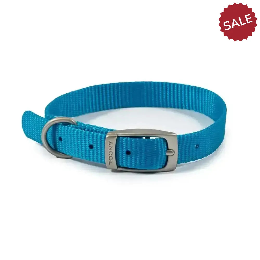 Ancol Viva Buckle Collar Blue Size 1 (20-26cm) Blue Dog Collars