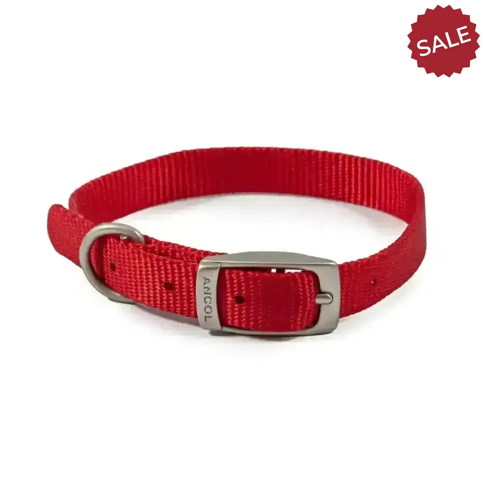 Ancol Viva Buckle Collar Red 20-26cm Size 1 Red Dog Collars