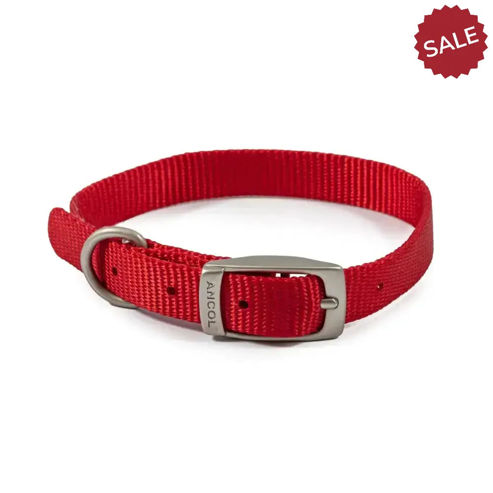 Ancol Viva Buckle Collar Red 26-31cm Size 2 Red Dog Collars