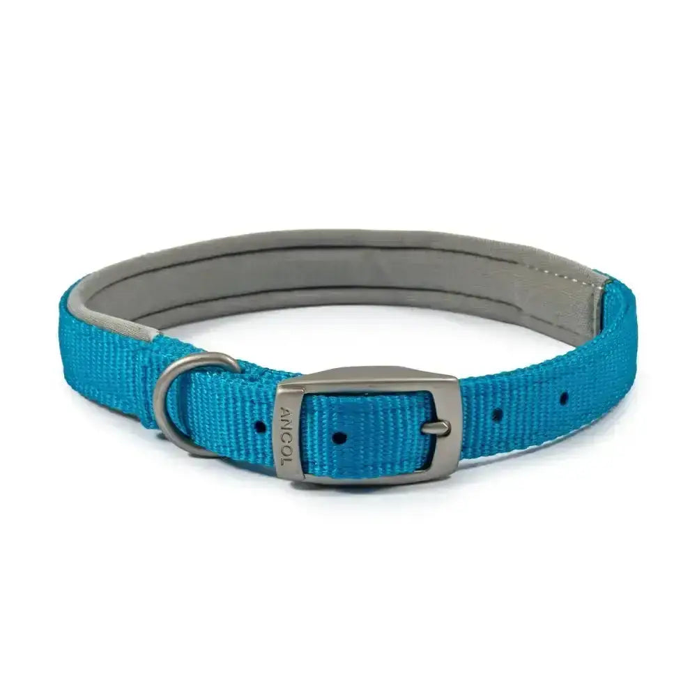 Blue ancol viva padded collar with gray padded nylon interior and silver satin buckle for dogs