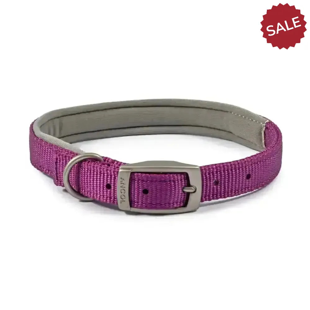 Ancol Viva Padded Collar Purple Size 4 (35-43cm) Purple Dog Collars