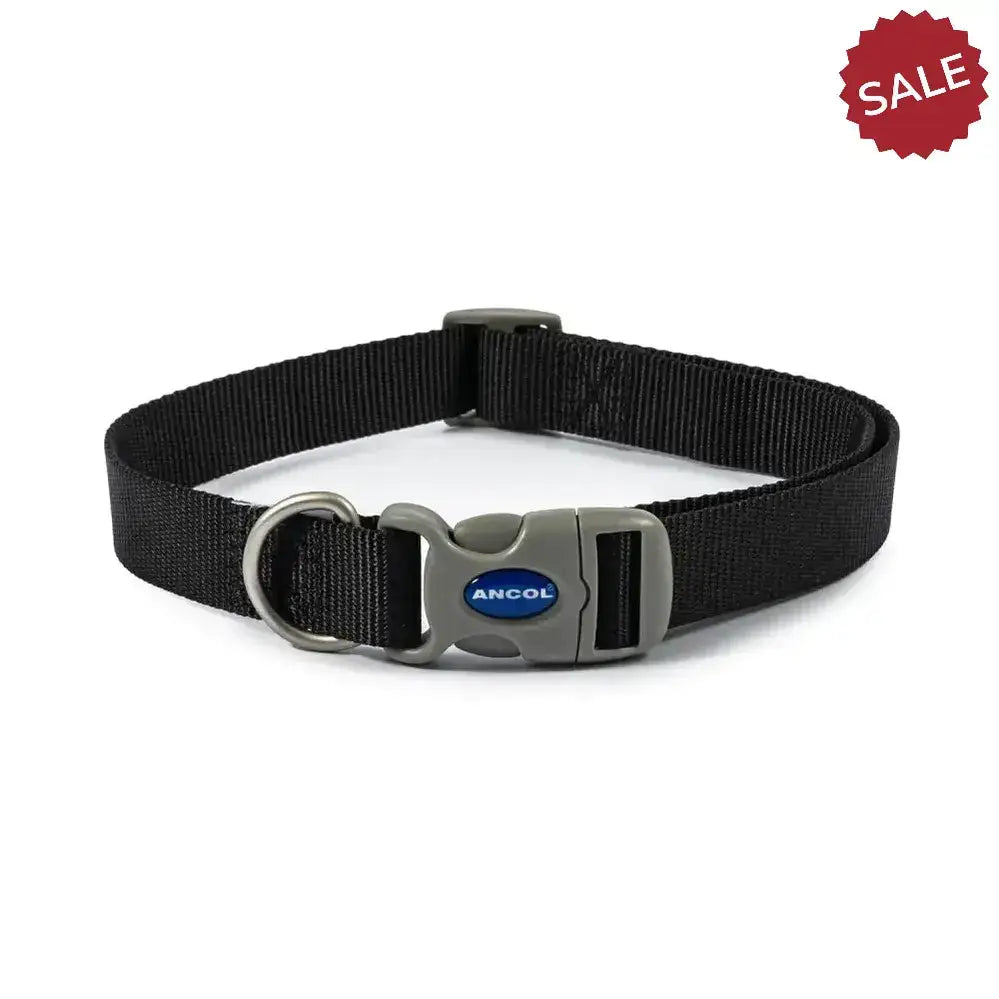 Black nylon ancol viva quick fit adjustable collar with gray buckle and metal d-ring for easy pet control