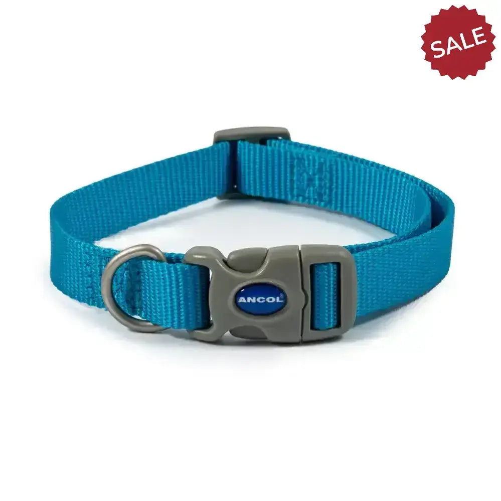 Bright blue nylon ancol viva quick fit adjustable collar with gray plastic buckle and metal d-ring featuring ancol logo