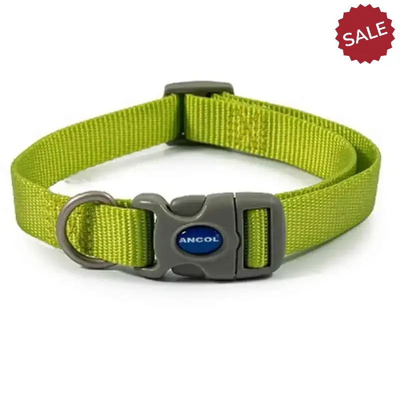 Ancol Viva Quick Fit Adjustable Collar Lime 20-30cm Size 1 - 2 Dog Collars