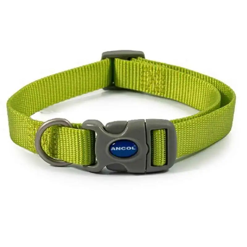 Bright lime green nylon ancol viva quick fit adjustable collar with gray buckle and metal d-ring for dogs