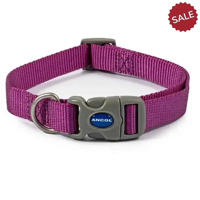 Ancol Viva Quick Fit Adjustable Collar Purple 30-50cm Size-2 - 5 Dog Collars