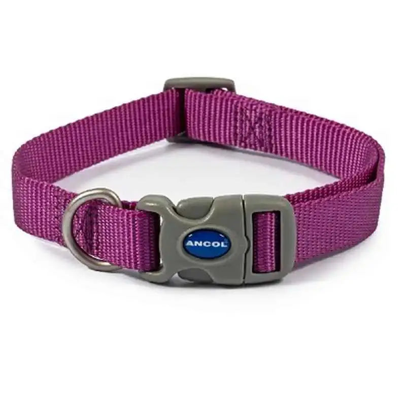 Purple nylon ancol viva quick fit adjustable collar with gray buckle and silver d-ring for dogs