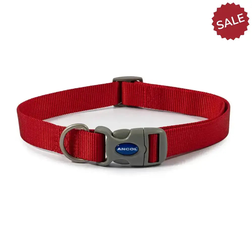 Red nylon ancol viva quick fit adjustable collar with gray buckle and metal d-ring featuring ancol logo