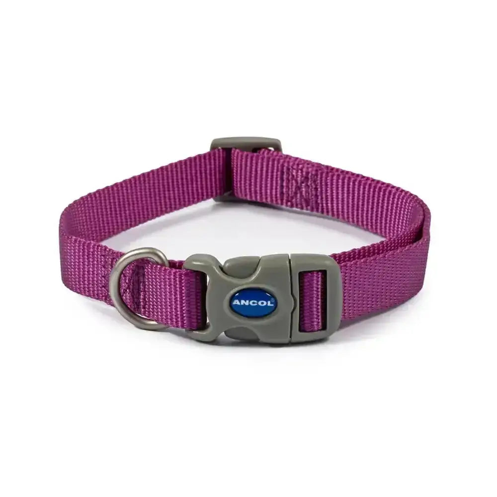 Purple woven nylon ancol viva quick fit collar with gray buckle and metal d-ring for easy quick fit collar use