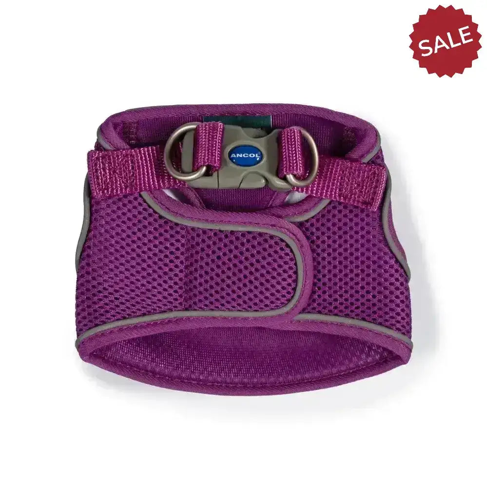 Purple mesh ancol viva step-in harness with gray trim and silver hardware featuring ancol brand logo on buckle