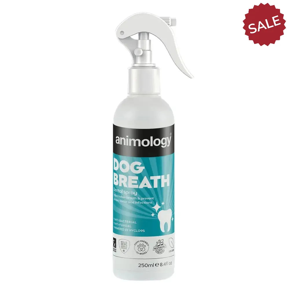 Animology Dog Breath Dental Spray 250 ml Dog Health Care