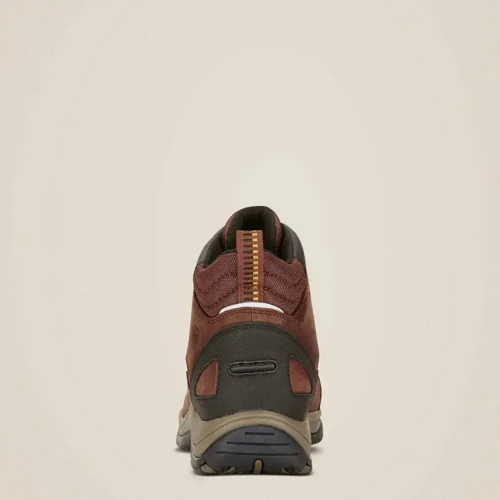 Brown and black ariat telluride h20 laced riding trainers with full-grain leather upper and gold zipper pull