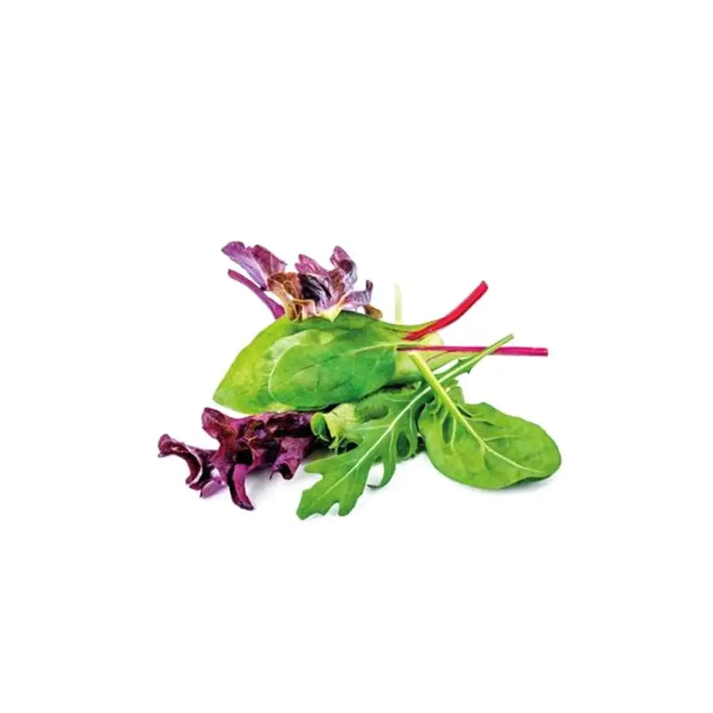 A bag of hand grown organic mixed leaf salad with vibrant green and purple spinach and arugula leaves with red stems