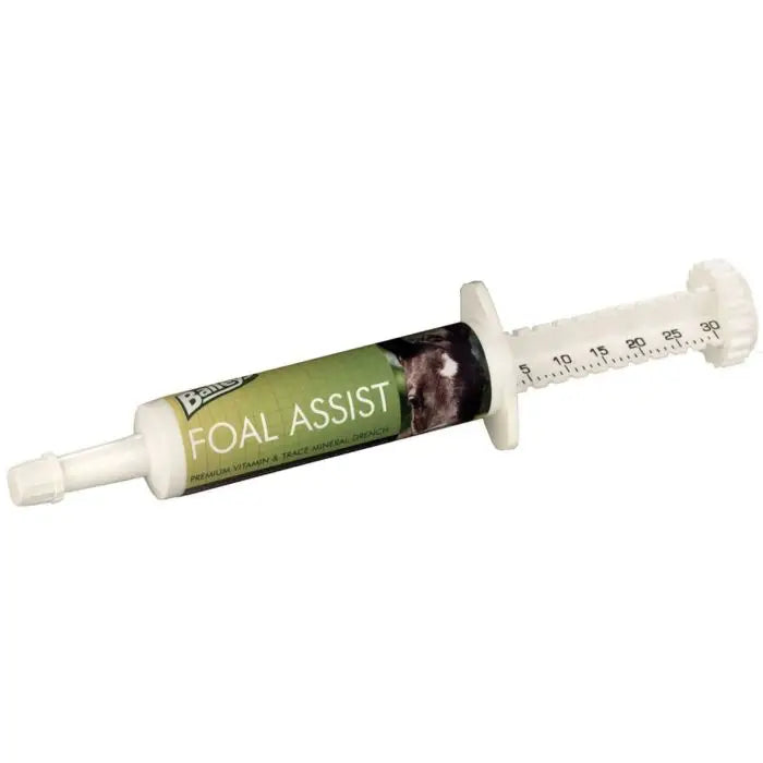 White plastic baileys foal assist plus syringe with green label for rapidly growing foals aid