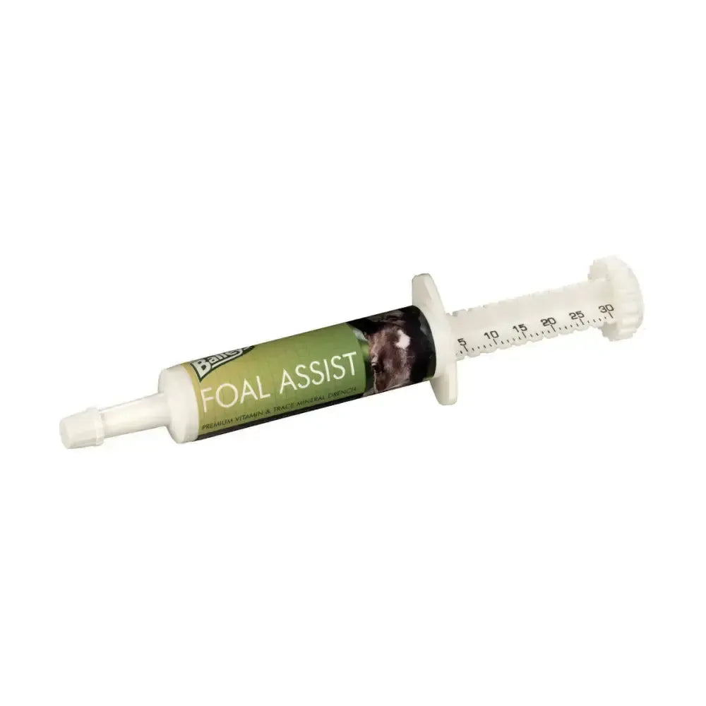 Baileys Foal Assist Syringe 30 cc Foal Supplements