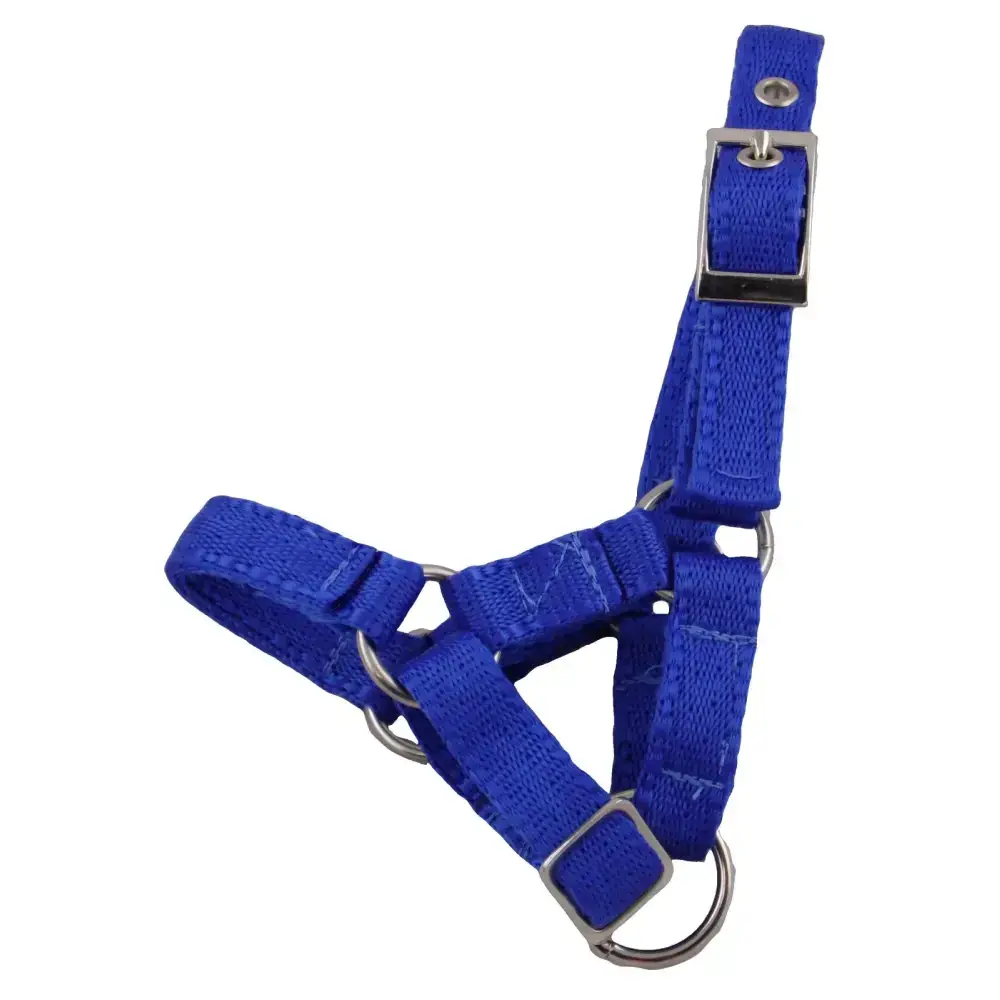 Banbury Headcollar - For Minis, Alpaca, Llama, Sheep Blue XXXS