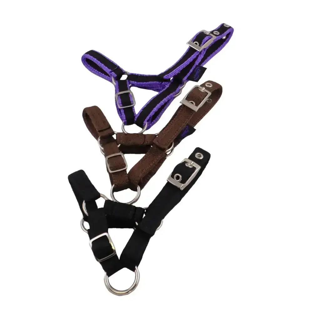 Banbury headcollar with purple brown and black 16mm soft webbing and metal fittings for minis alpaca llama sheep