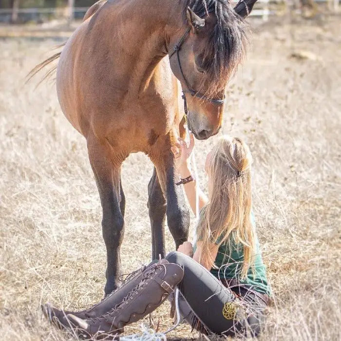 Brown horse wearing a bridle showing the back of bareback footwear andalucia boots brown with rear opti zip