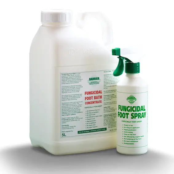 White plastic bottle with green spray nozzle of barrier fungicidal foot spray intensive spray designed for sheep