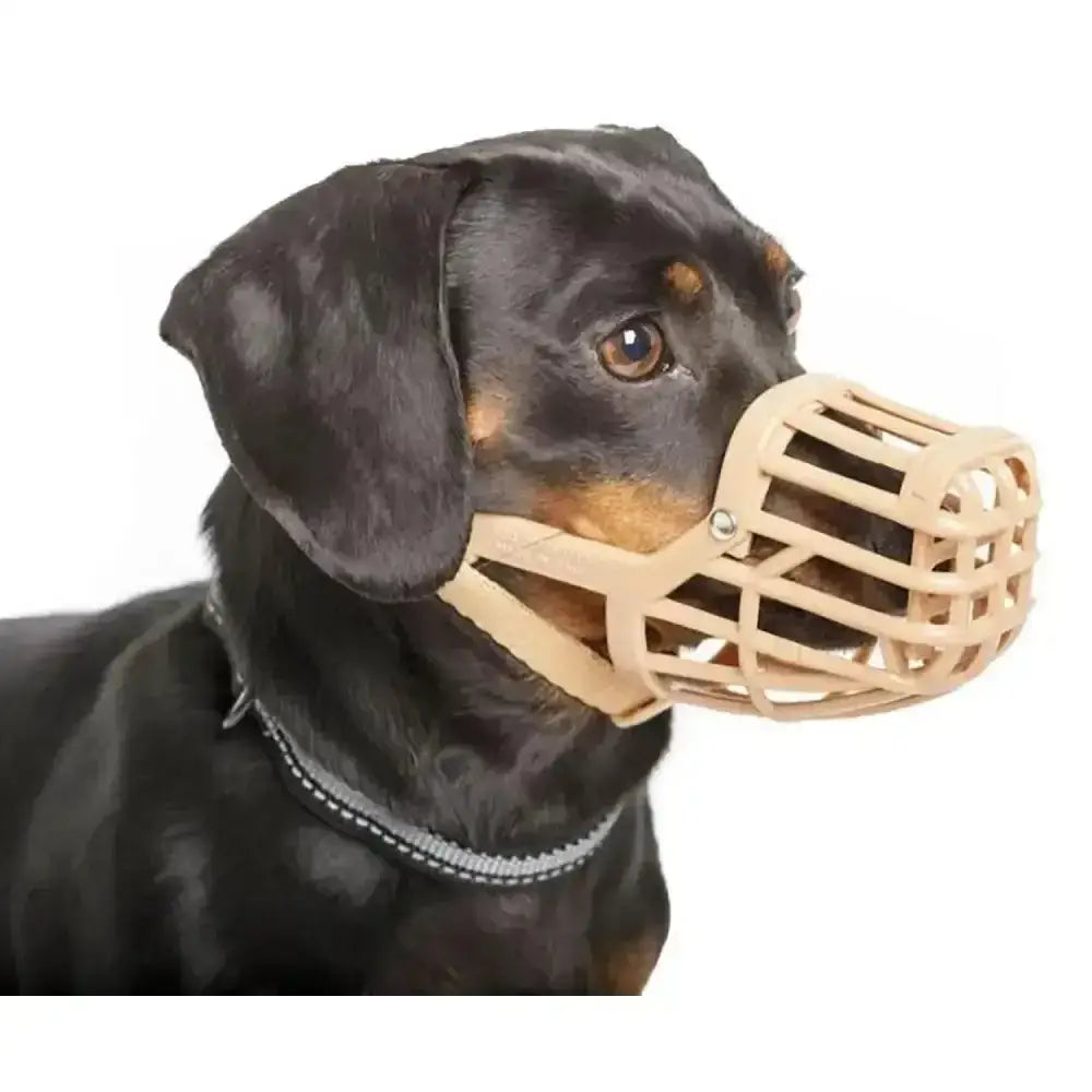 Beige baskerville classic dog muzzle made of recycled polymer with breathable mesh and adjustable straps