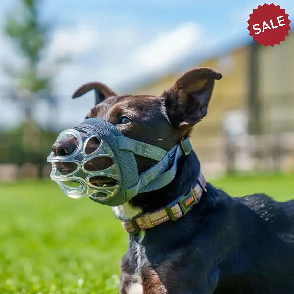 BASKERVILLE INVISA BASKET MUZZLE 1 Dog Muzzles