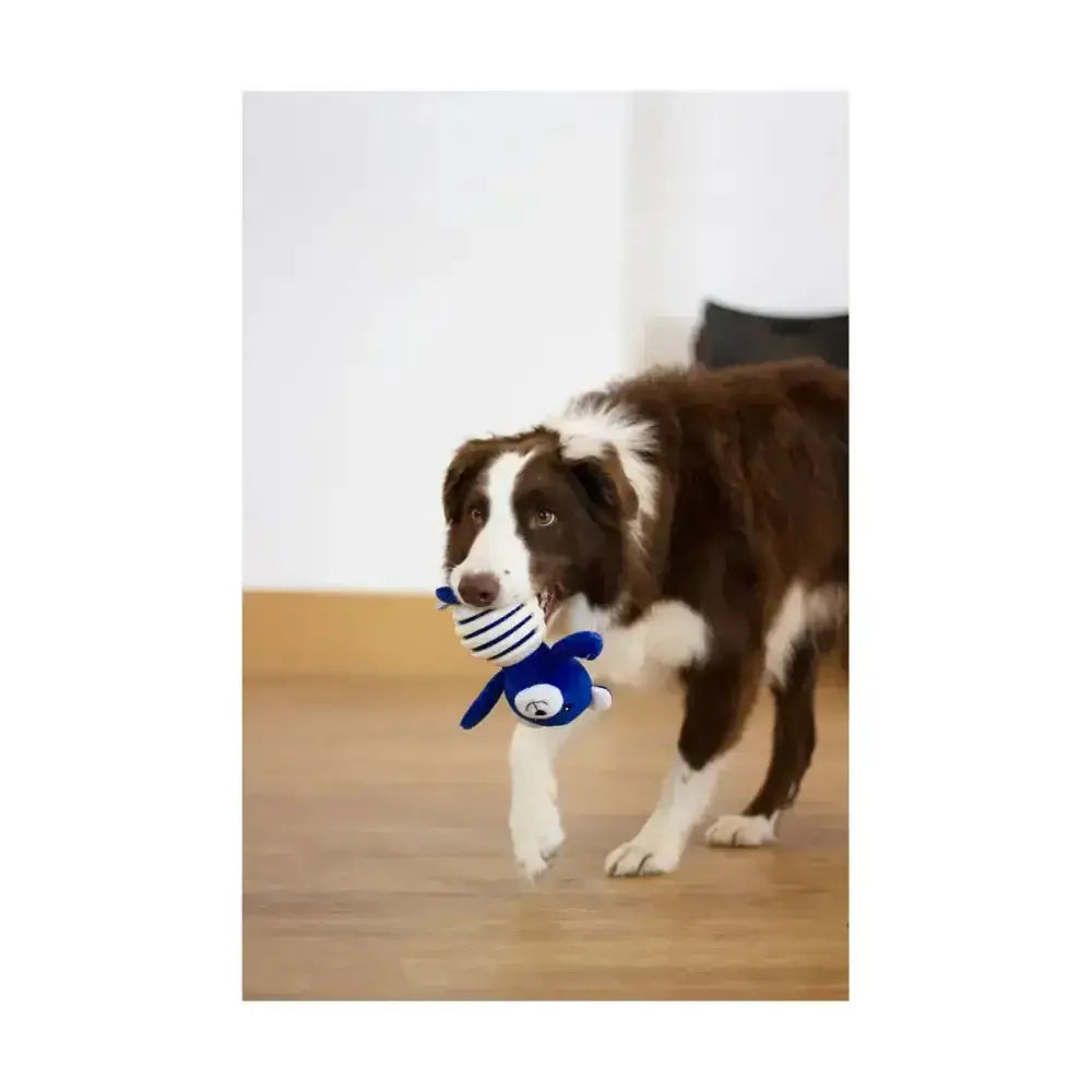 Blue plush battersea rubber belly bear dog toy with white stripes and smiling face is a multi-textured tough toy to satisfy natural chewing instincts