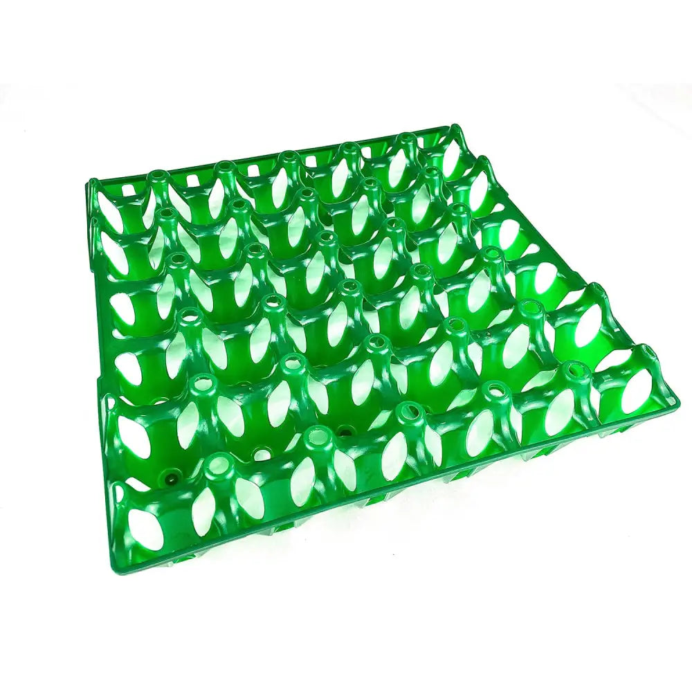 Transparent green plastic bec egg tray with oval compartments for storing eggs securely and organized