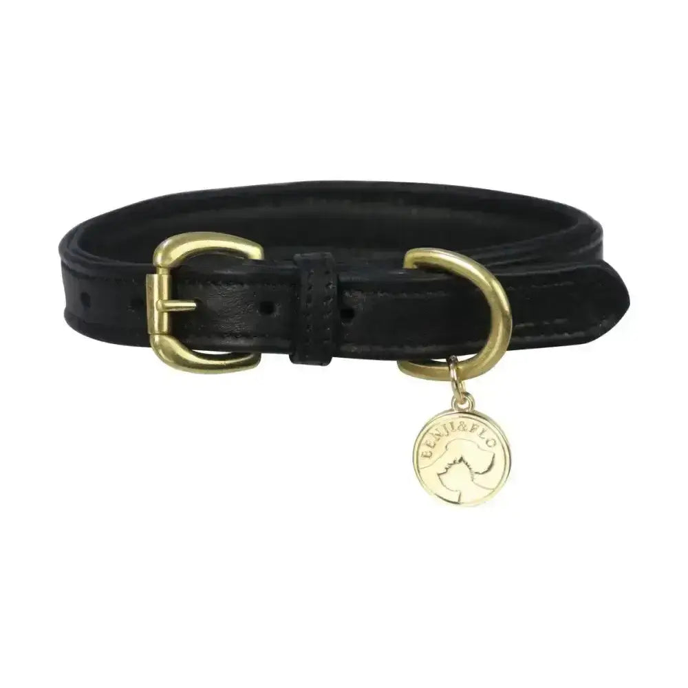Black leather benji & flo padded leather dog collar with gold buckle and matching elijah & flo charm