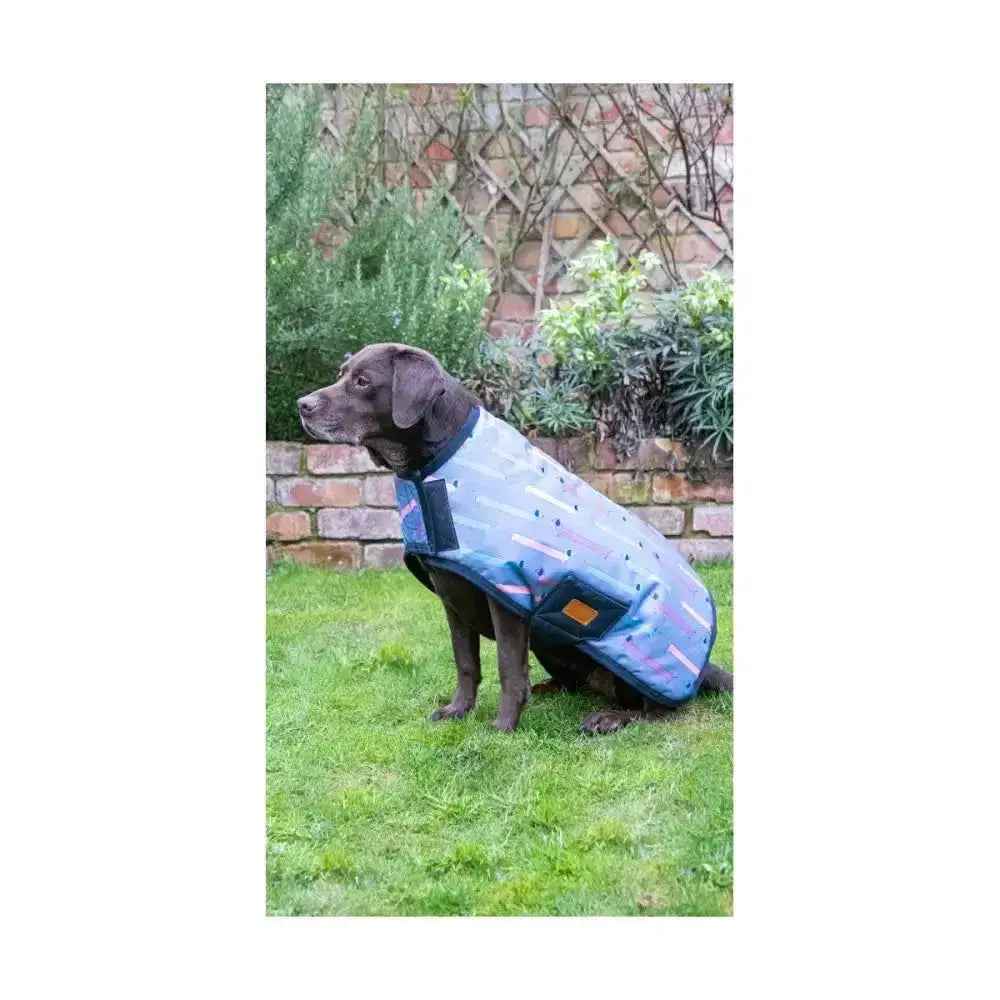 Blue and black denier waterproof rip dachshund dog coat with reflective stripes for breathable waterproof dog protection